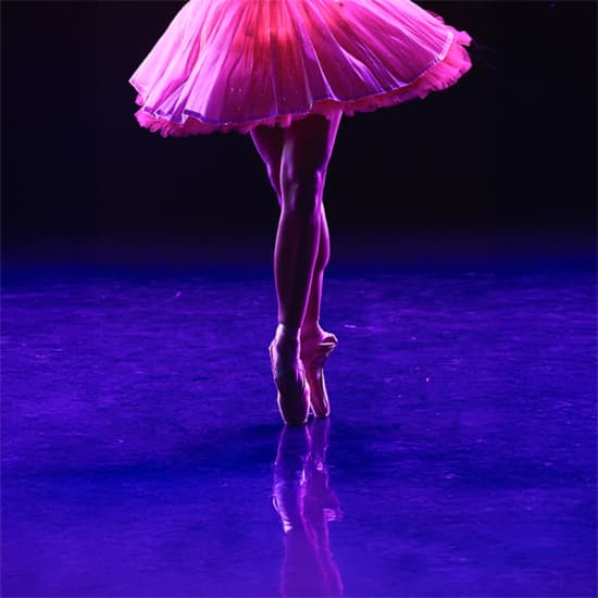 Ballet of Lights: Sleeping Beauty in a Sparkling Show — event image